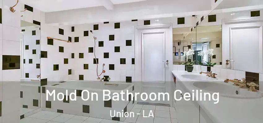  Mold On Bathroom Ceiling Union - LA