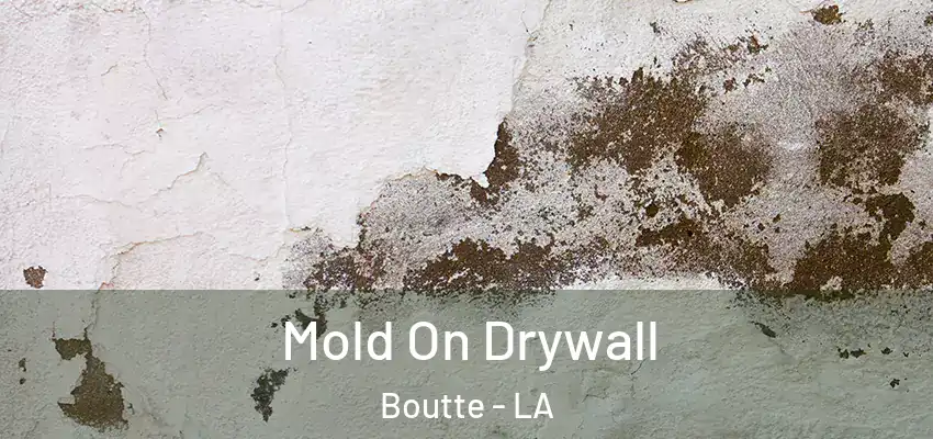 Mold On Drywall Boutte - LA