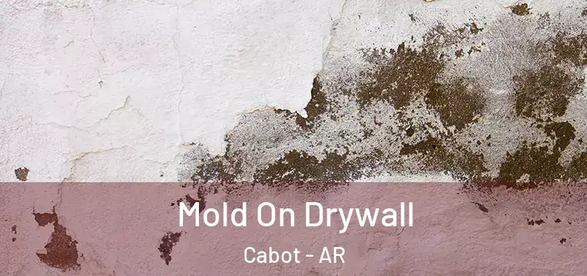  Mold On Drywall Cabot - AR