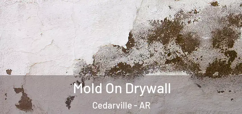  Mold On Drywall Cedarville - AR