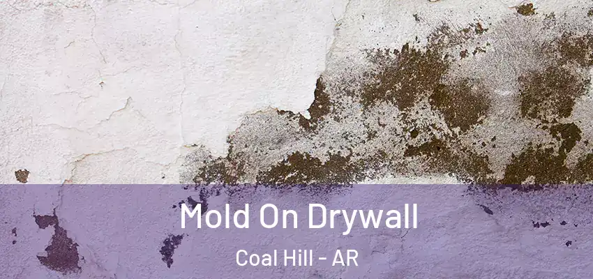  Mold On Drywall Coal Hill - AR