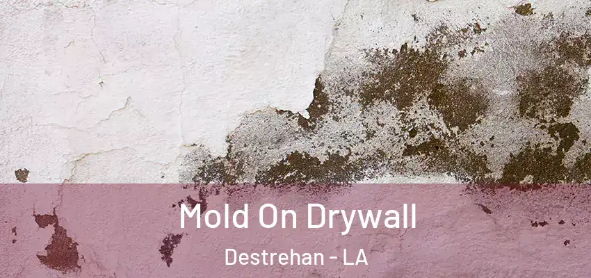  Mold On Drywall Destrehan - LA