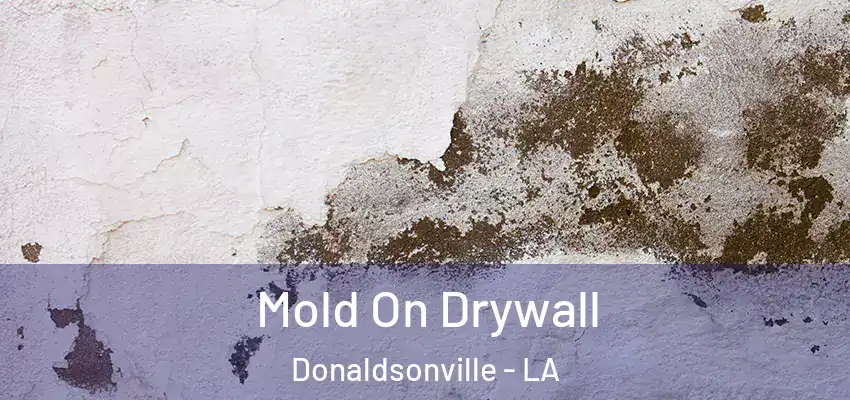  Mold On Drywall Donaldsonville - LA