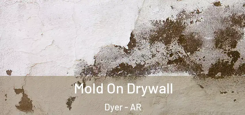  Mold On Drywall Dyer - AR