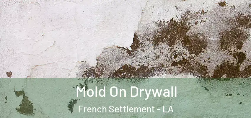  Mold On Drywall French Settlement - LA