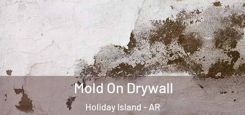 Mold On Drywall Holiday Island - AR
