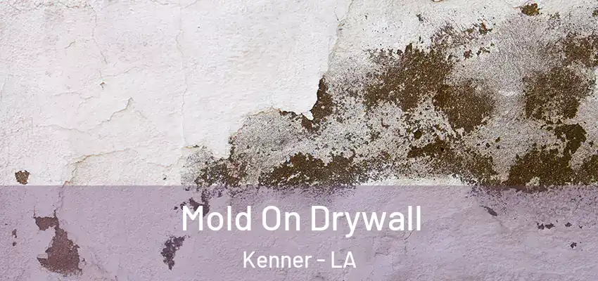  Mold On Drywall Kenner - LA