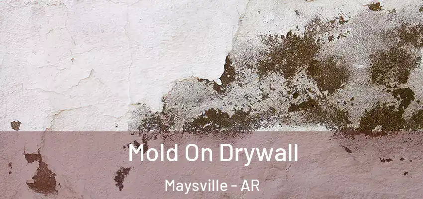  Mold On Drywall Maysville - AR