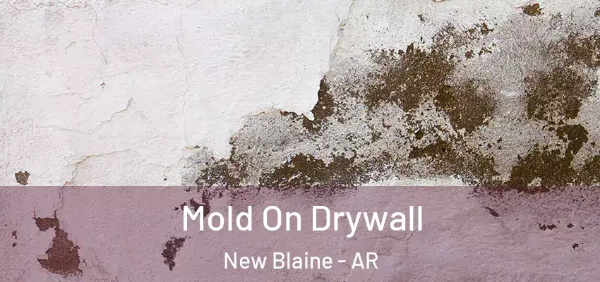  Mold On Drywall New Blaine - AR