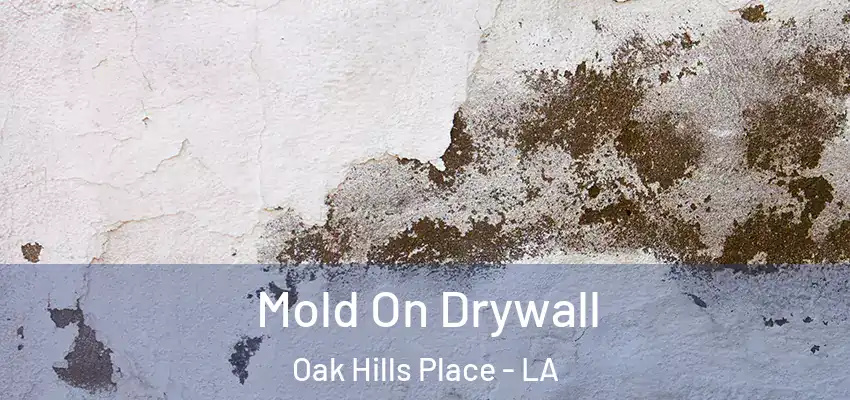  Mold On Drywall Oak Hills Place - LA