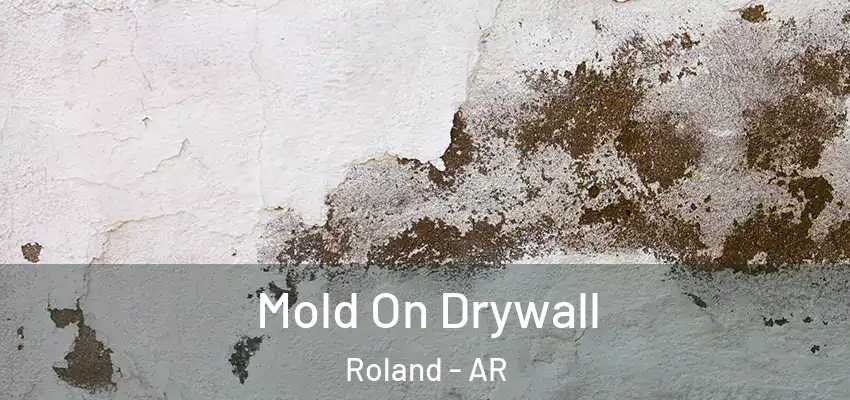  Mold On Drywall Roland - AR
