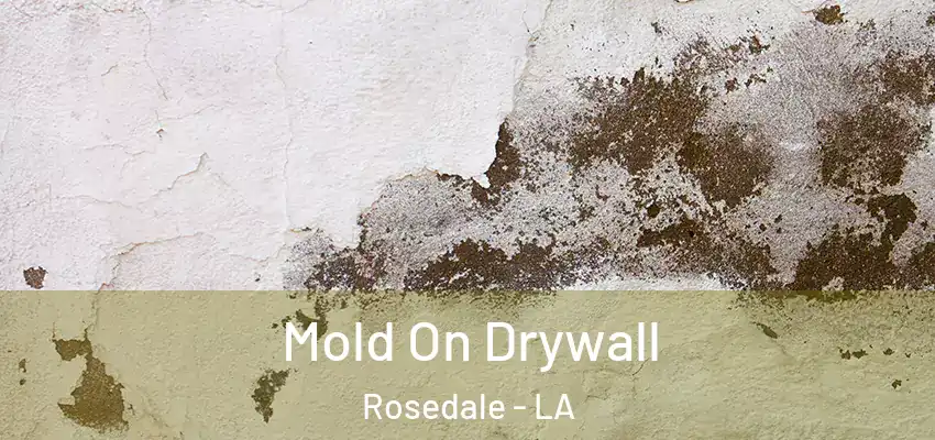  Mold On Drywall Rosedale - LA
