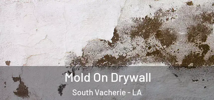  Mold On Drywall South Vacherie - LA