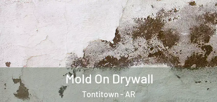  Mold On Drywall Tontitown - AR