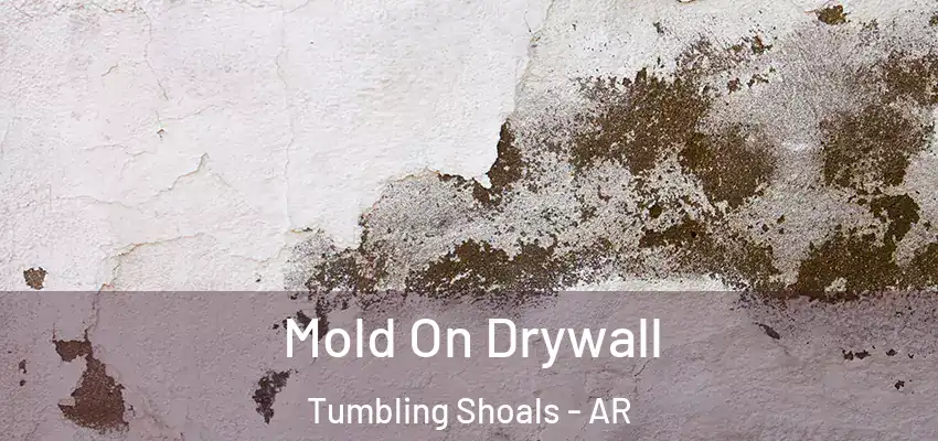  Mold On Drywall Tumbling Shoals - AR
