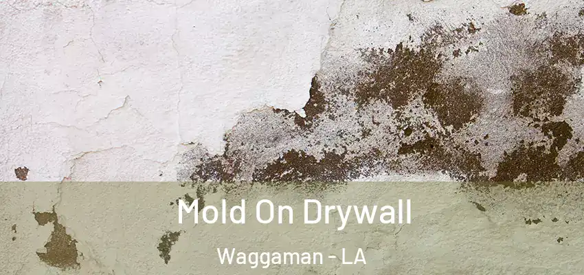  Mold On Drywall Waggaman - LA