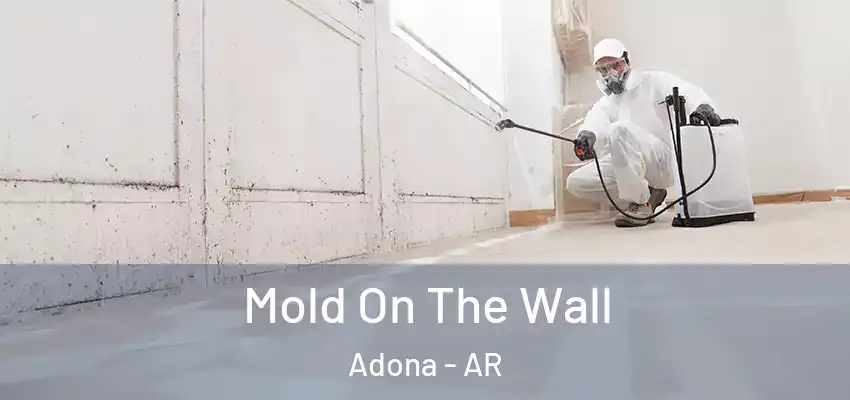 Mold On The Wall Adona - AR