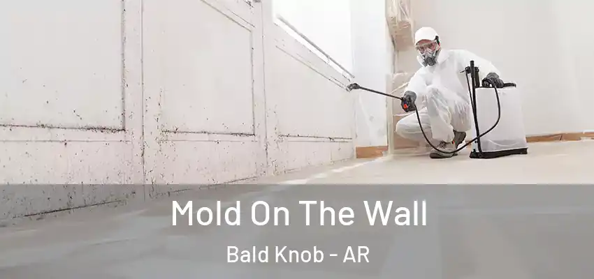 Mold On The Wall Bald Knob - AR