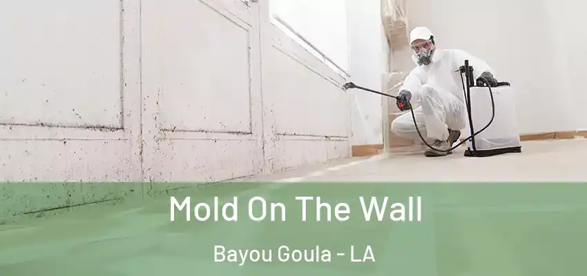  Mold On The Wall Bayou Goula - LA