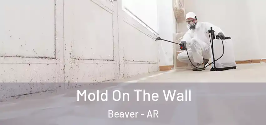 Mold On The Wall Beaver - AR