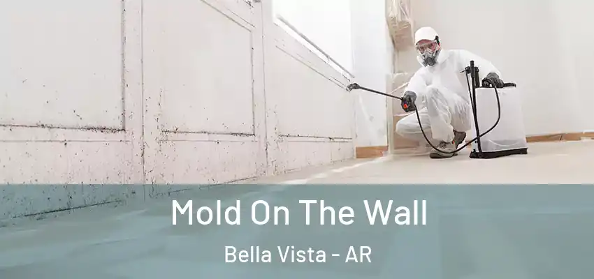  Mold On The Wall Bella Vista - AR