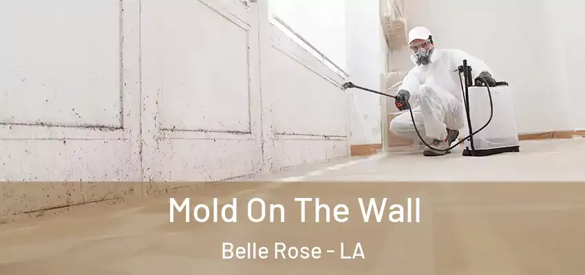  Mold On The Wall Belle Rose - LA
