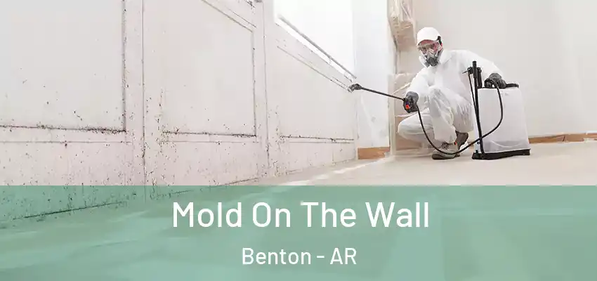  Mold On The Wall Benton - AR