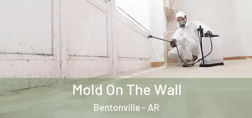 Mold On The Wall Bentonville - AR