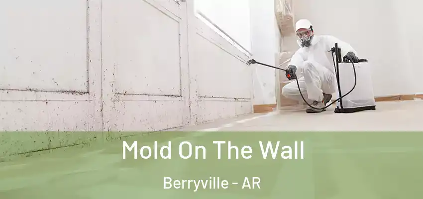  Mold On The Wall Berryville - AR