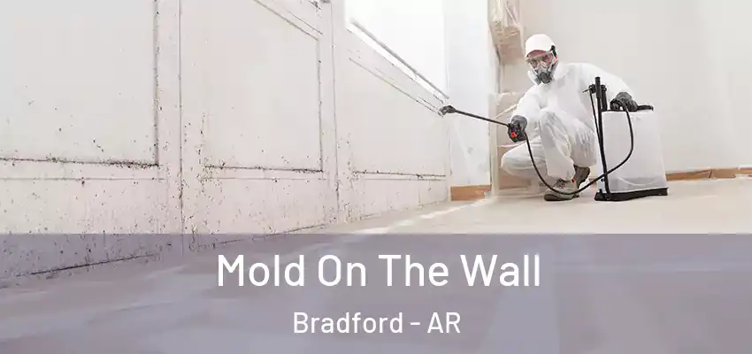 Mold On The Wall Bradford - AR
