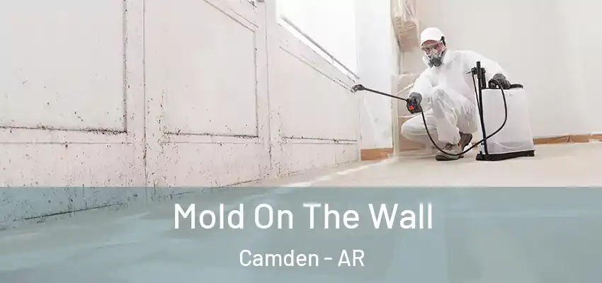 Mold On The Wall Camden - AR