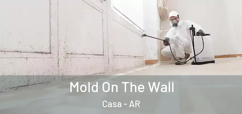 Mold On The Wall Casa - AR