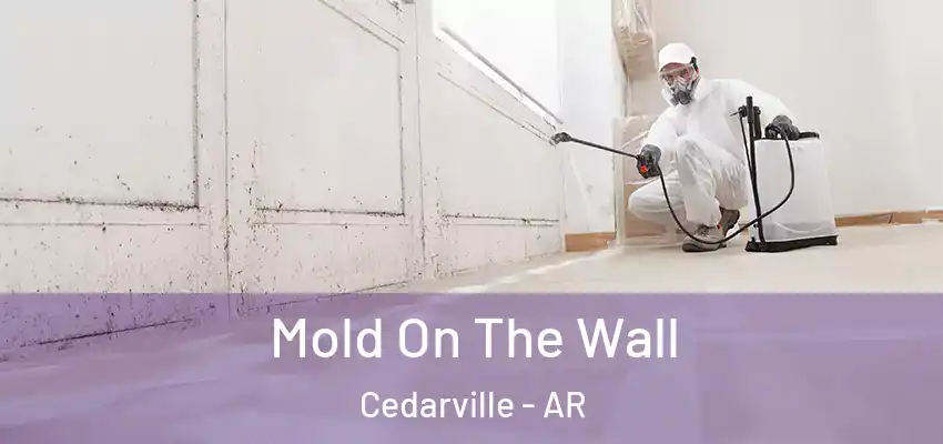  Mold On The Wall Cedarville - AR