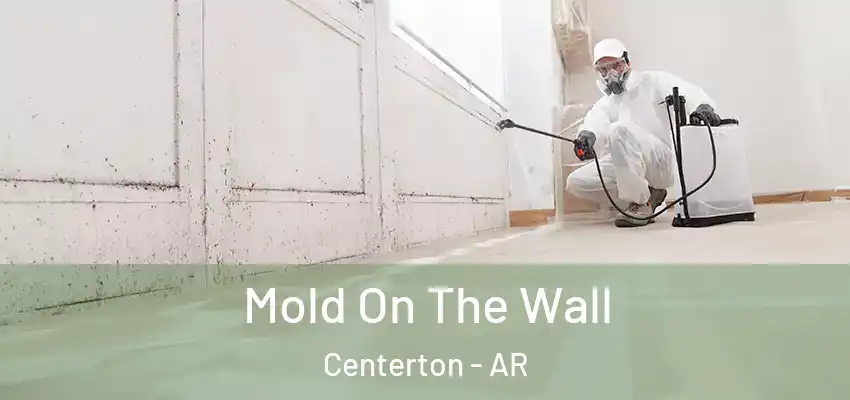 Mold On The Wall Centerton - AR