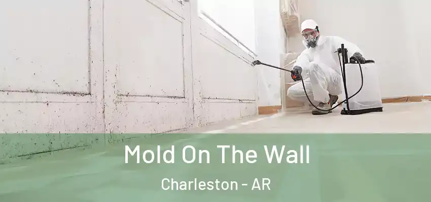 Mold On The Wall Charleston - AR