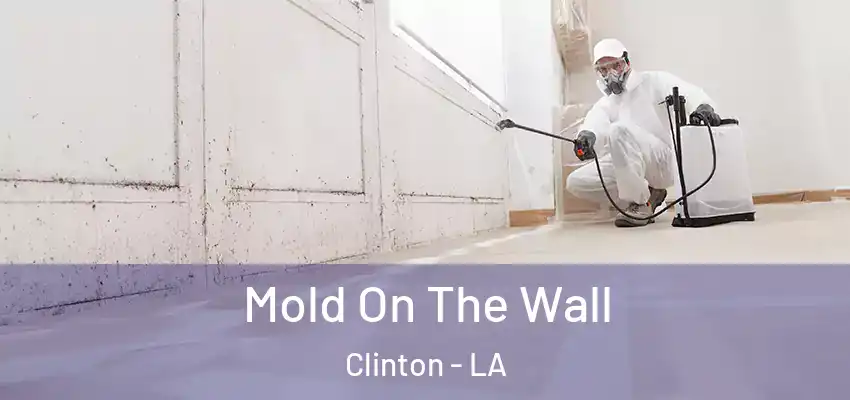  Mold On The Wall Clinton - LA