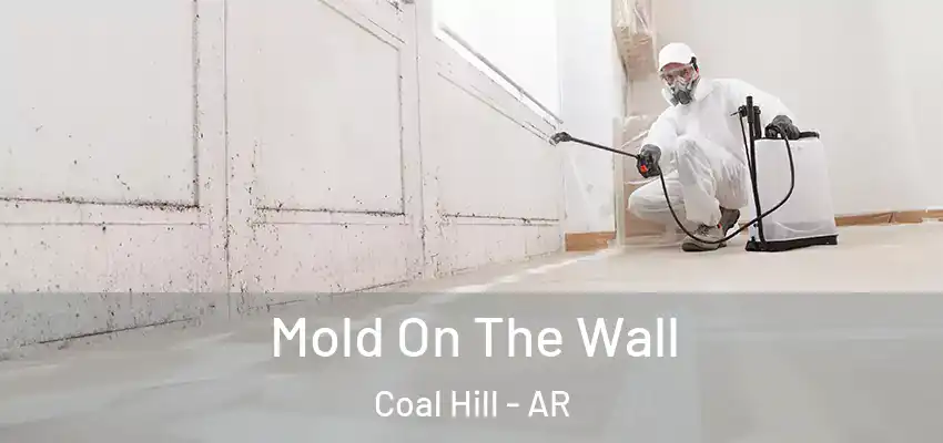  Mold On The Wall Coal Hill - AR
