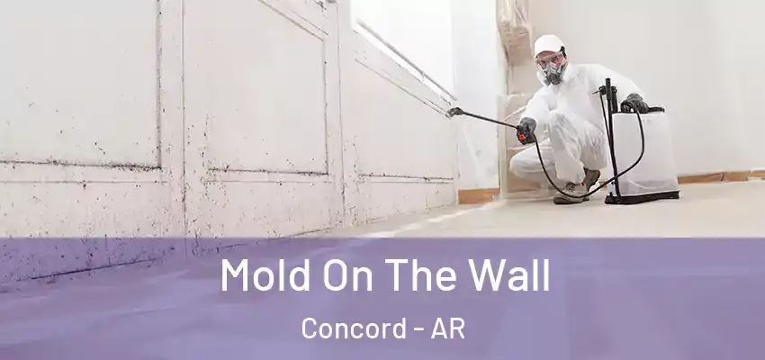  Mold On The Wall Concord - AR