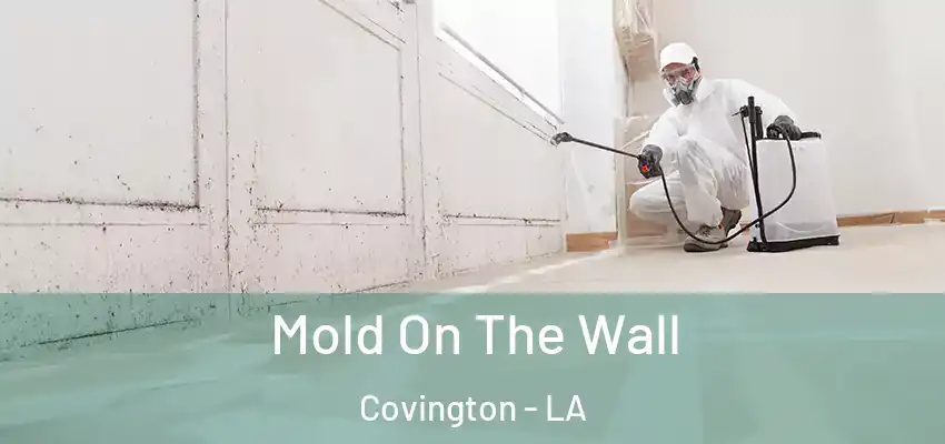  Mold On The Wall Covington - LA