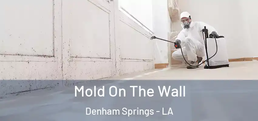  Mold On The Wall Denham Springs - LA