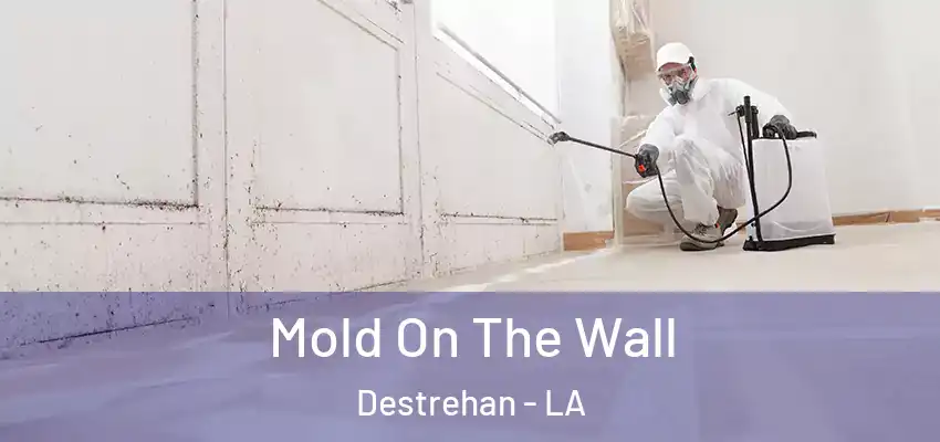  Mold On The Wall Destrehan - LA