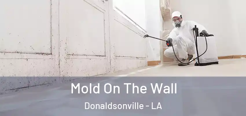  Mold On The Wall Donaldsonville - LA