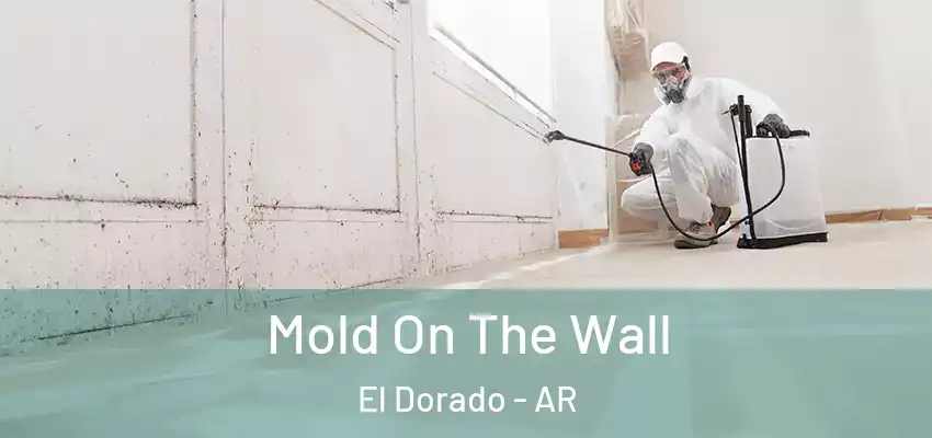  Mold On The Wall El Dorado - AR