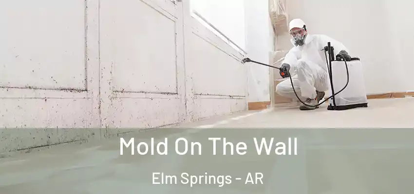  Mold On The Wall Elm Springs - AR
