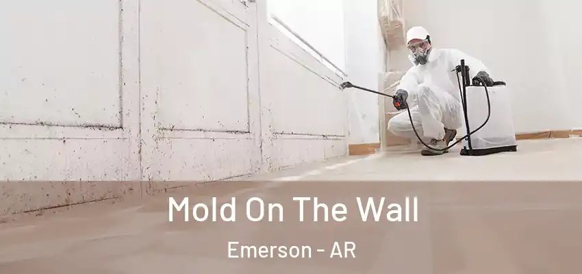 Mold On The Wall Emerson - AR