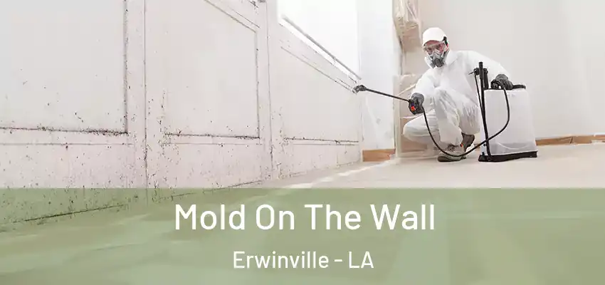  Mold On The Wall Erwinville - LA