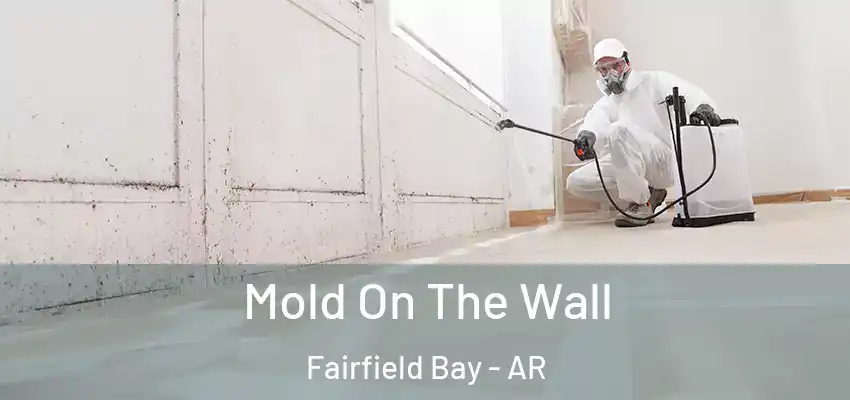  Mold On The Wall Fairfield Bay - AR