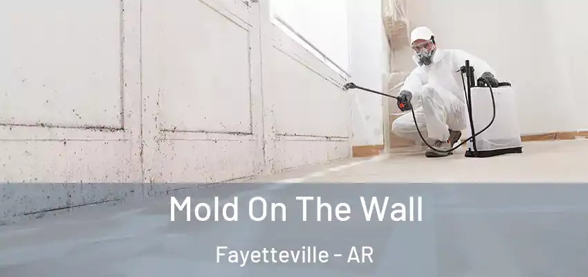 Mold On The Wall Fayetteville - AR