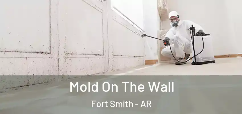  Mold On The Wall Fort Smith - AR