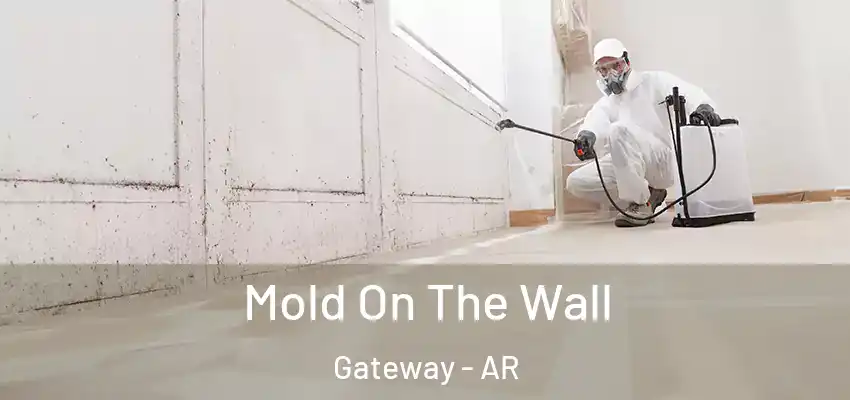  Mold On The Wall Gateway - AR